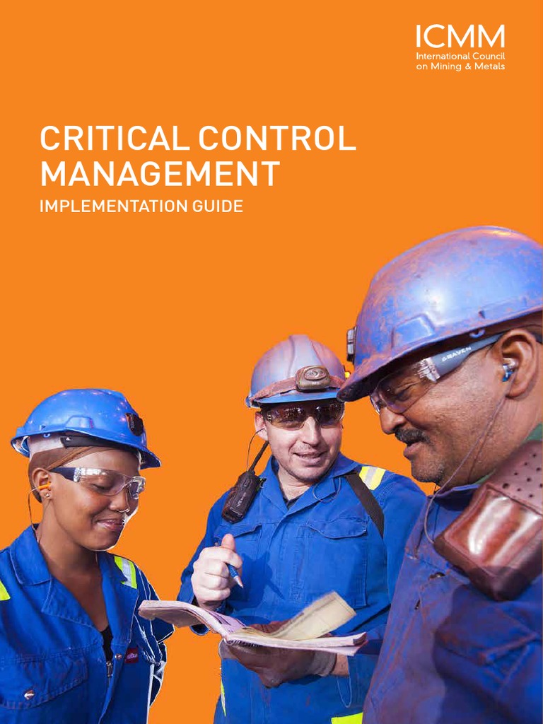 2015 Control Cir | PDF | Risk | Risk Management