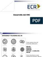 Embriologia y Transtornos Del Desarollo SNC 1020 - 11 Am