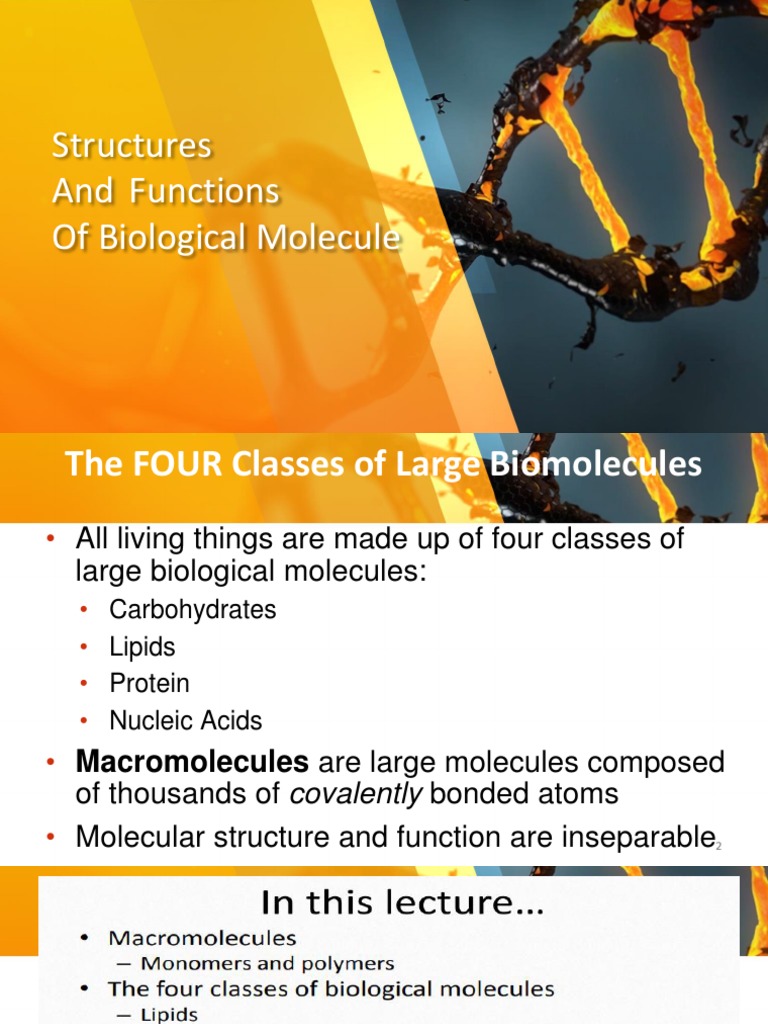 Biological Molecules Overview | PDF | Carbohydrates | Glucose