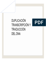 Dup Transcrip Traducc