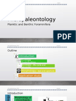 Planthic & Benthic Foraminifera