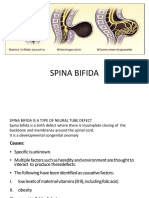 Lo1 Spina Bifida