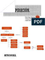 La Respiración - Exposición