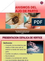 Mecanismo del parto: Acomodación, descenso, rotación y expulsión de la cabeza fetal