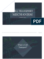 Cell Transport PDF