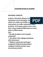 Kromosom Plasmid