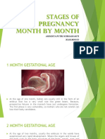 Stages of Pregnancy Month by Month