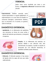 Diagnósticos diferenciales testículos