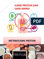 Asam Amino Dan Protein