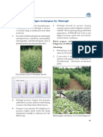 Agro-Techniques For Kalmegh: Andrographis Paniculata (Acanthaceae), Kalmegh Should Be Grown During