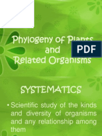Phylogeny of Plants