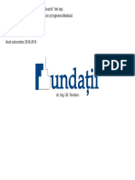 C8 Fundatii