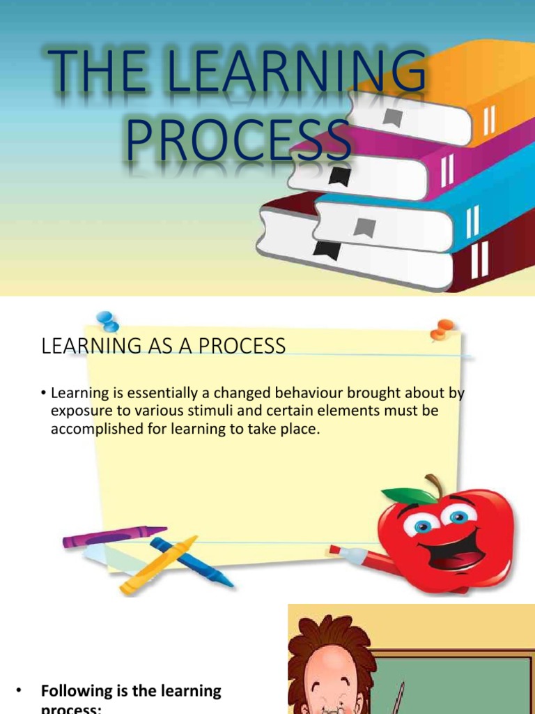 Learning Process | PDF | Expert | Learning