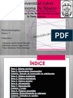 Fisiologia de Cefalopodos PDF