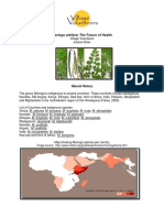 Moringa Oleifera PDF