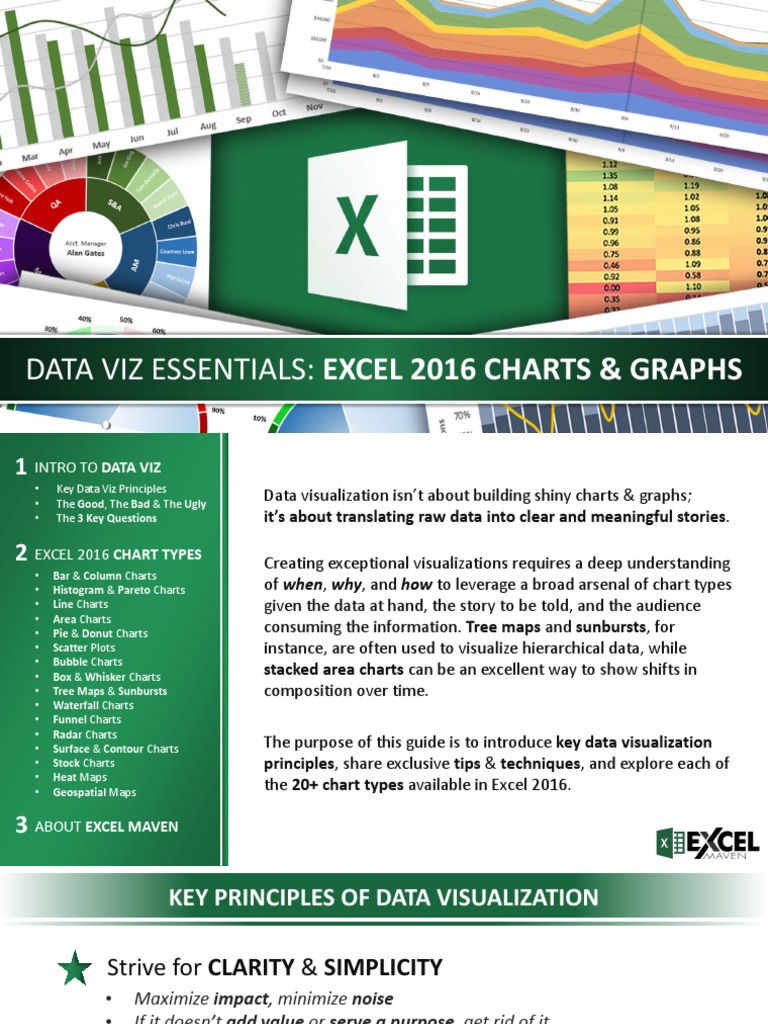 Excel Data Visualization Essentials | PDF | Pie Chart | Histogram