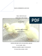 Proyecto Patos