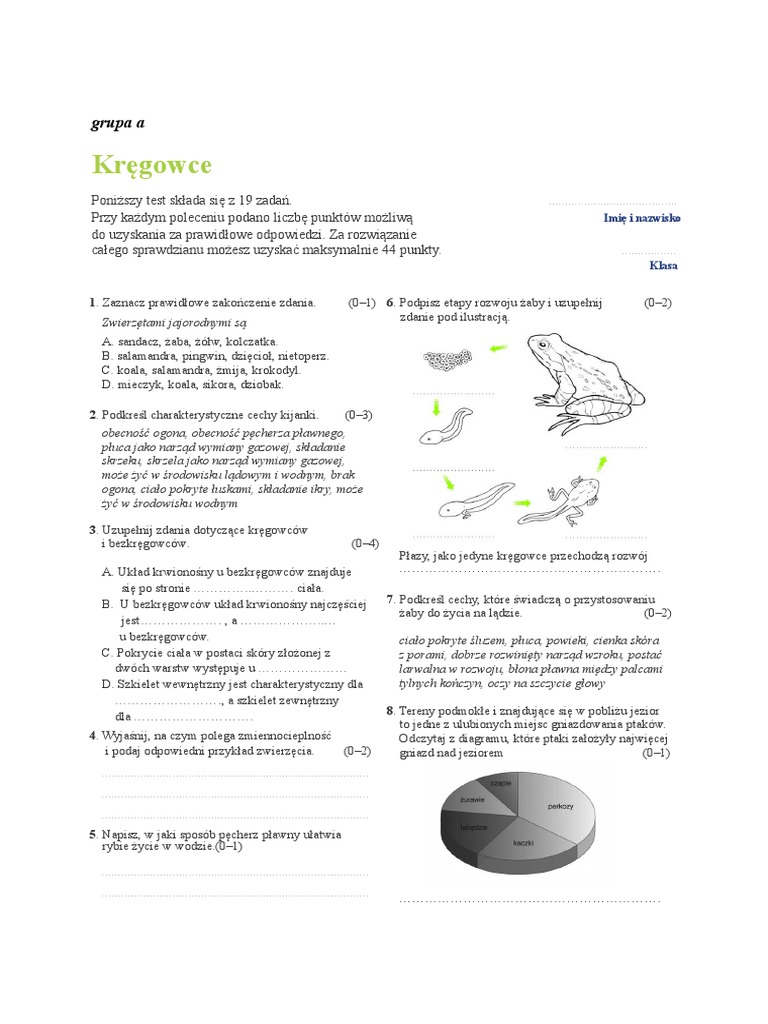 Sprawdzian Z Kręgowców Klasa 6 Nowa Era