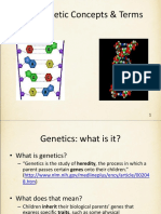 Basic Genetic Concepts & Terms