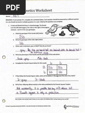 Mendelian Genetics Key | PDF