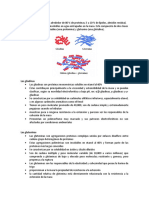 Proteínas gluten trigo