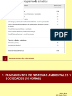 1 1 Sistemas de Valores Ambientales