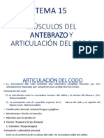TEMA 15          MÚSCULOS DEL ANTEBRAZO Y ARTICULACIÓN DEL CODO.pdf