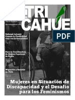 El Tricahue 002 PDF