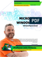 Windows - Professor João Antonio