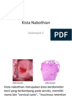 Kista Nabothian