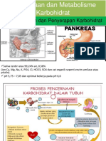 Pencernaan dan penyerapan karbohidratttt.pptx