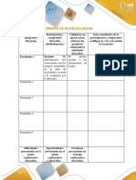 Formato Auto Evaluación