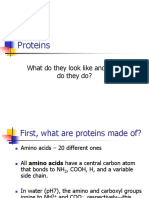Proteins: What Do They Look Like and What Do They Do?