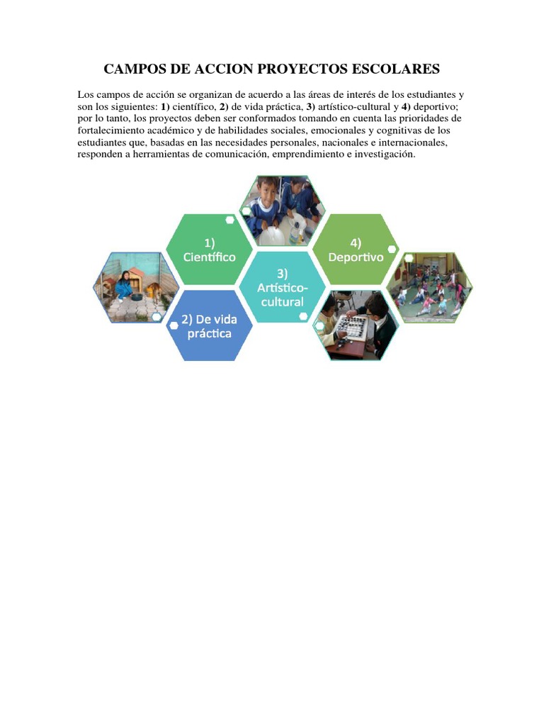 Campos de Acción en Proyectos Escolares | PDF