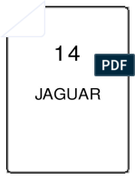 Jaguar Manual PDF