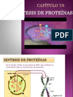 CAPÍTULO 11 - Síntesis de Proteínas PDF