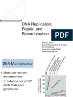 DNA Replication, Repair, and Recombination Mechanisms