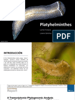 Platyhelminthes