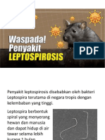 Leptospirosis Presentasi