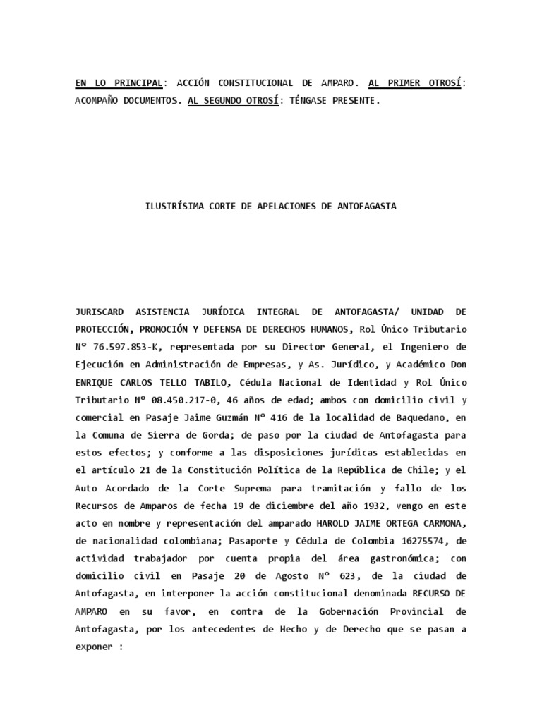 Modelo Recurso de Amparo Extranjero | PDF | Castigos | Derecho penal