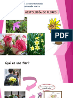 Tema 7. Histología de La Flor