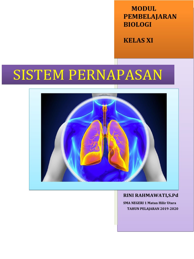 31 Hits Gambar  Poster  Upaya Menjaga  Sistem Pernapasan   31 Hits Gambar  Poster  Upaya Menjaga  Sistem Pernapasan