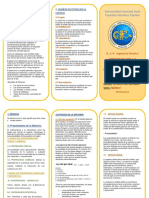 Triptico Estados de La Materia