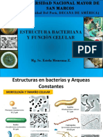 Estructuras en Bacterias