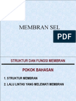 TM - 2 Membran Sel