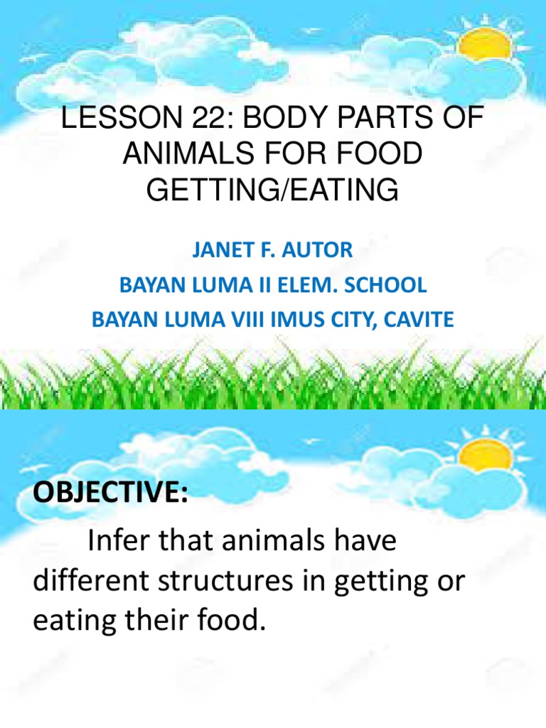Lesson 22-Body Parts of Animals For Getting Foodeating | PDF