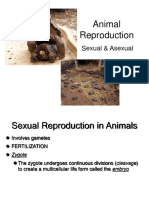 Animal Reproduction: Sexual & Asexual
