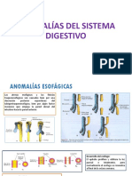 ANOMALIAS-DEL-SISTEMA-DIGESTIVO.pptx