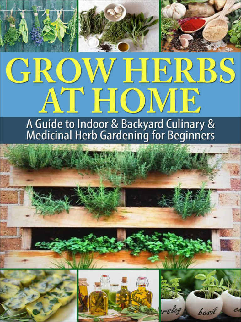 Grow Herbs at Home A Guide To Indoor & Backyard Culinary & Medicinal