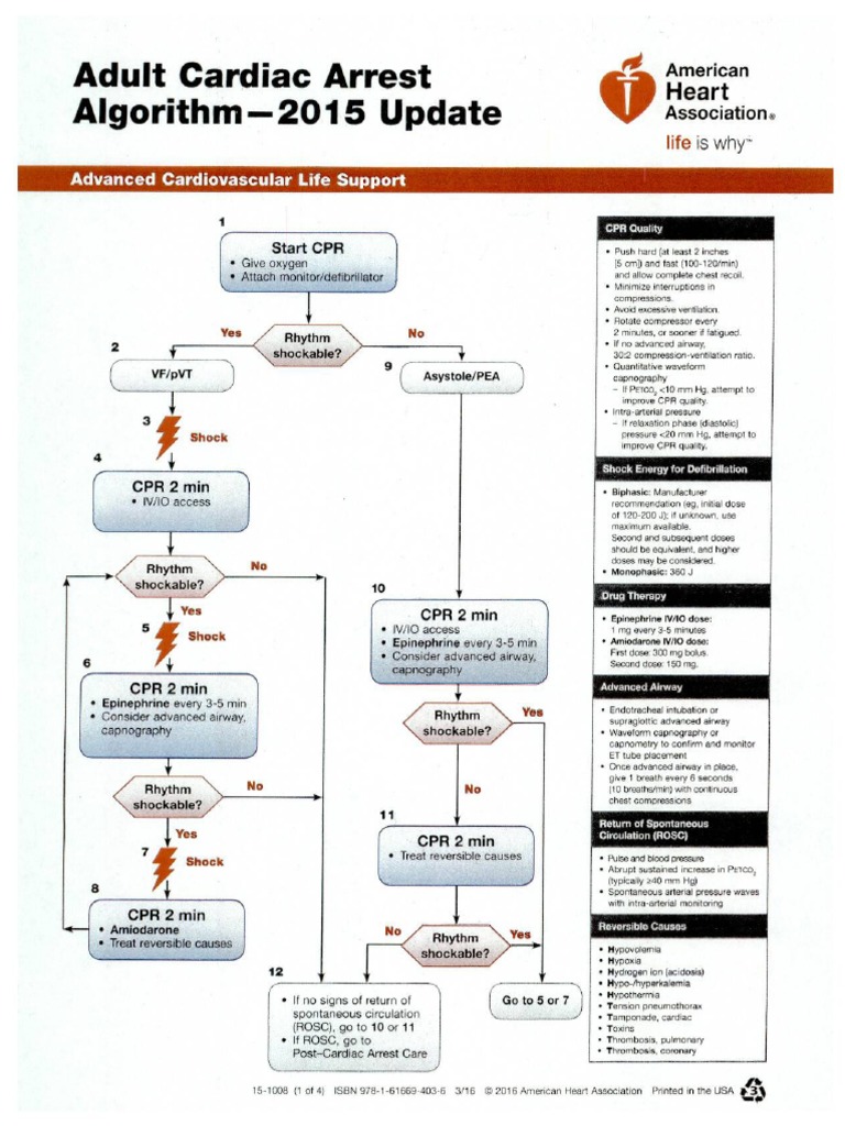 健康・医学 ACLS Experienced Providers 2015 15-1064.jpg